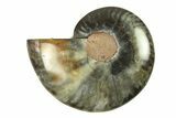 Cut & Polished Ammonite Fossil (Half) - Unusual Black Color #296310-1